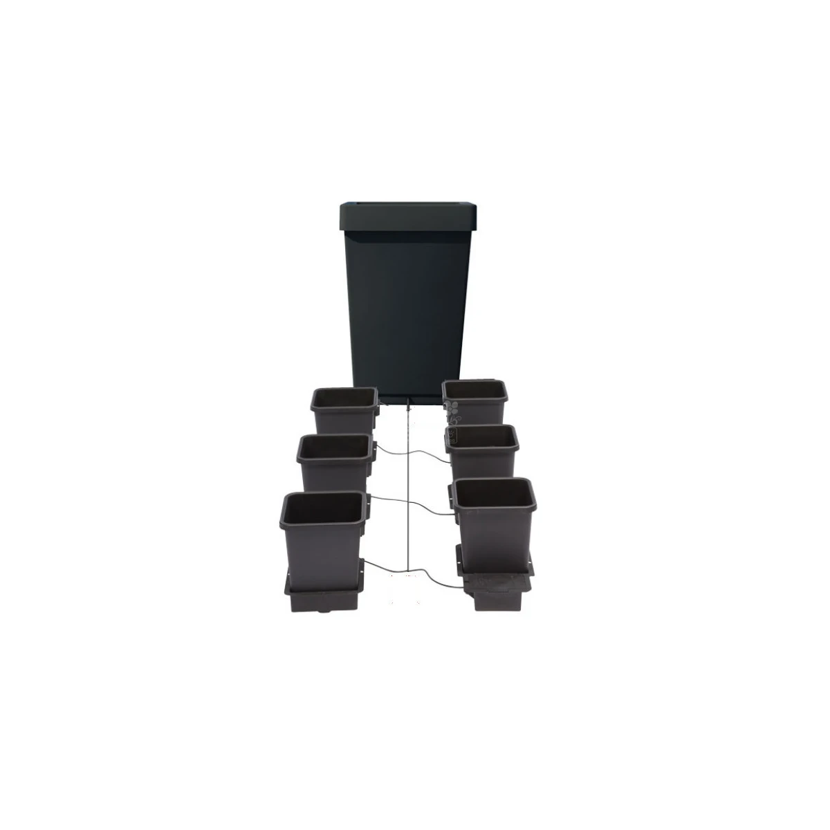 SYSTEM 1Pot 6x 15L 47L Tank