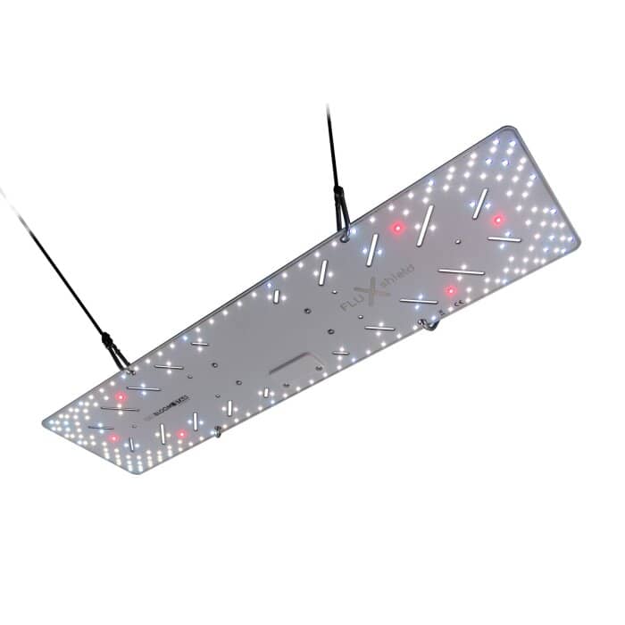 bloomstar-fluxshield-300l-100w.jpg